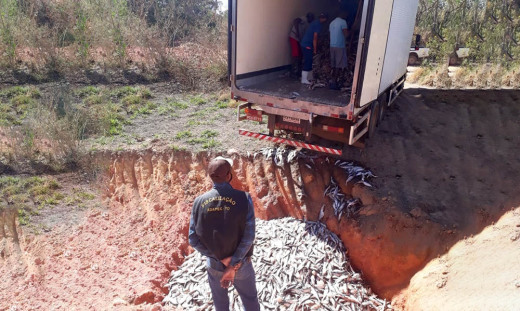 A carga clandestina foi destruída pelos riscos que poderiam causar aos consumidores