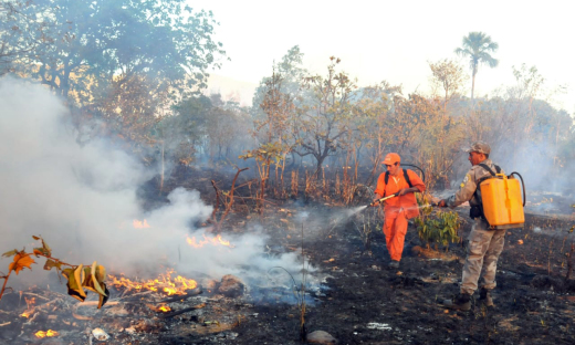 Foram registrados 9.019 focos de incêndio no período de julho a setembro de 2019 