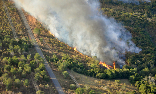 Conforme os dados do Instituto Nacional de Pesquisas Espaciais (INPE), o Tocantins possui 4.049 focos de incêndio em 2020