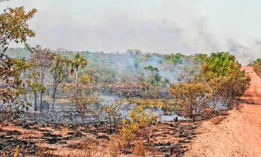 O Tocantins conseguiu reduzir em 21% o número de focos de queimadas em seu território