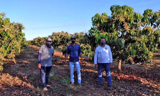 Atividades no perímetro irrigado Manoel Alves são ligadas fortemente a fruticultura