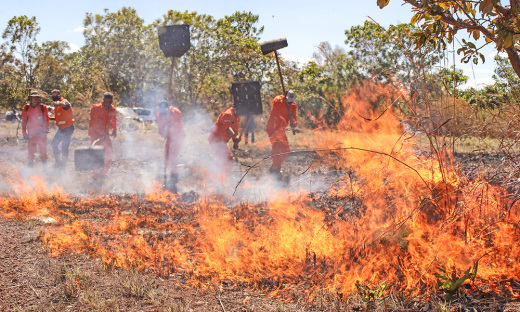 Estado padece com vulnerabilidades da vegetação devido às combinações climáticas do período do ano, considerando as altas temperaturas neste período de estiagem