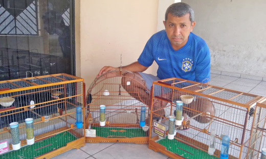 Criador de passeriformes Josafá Araújo já renovou sua Licença Sispass 2020-2021