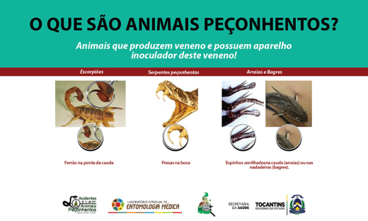 Em caso de acidente a pessoa deve buscar imediatamente o atendimento médico mais próximo
