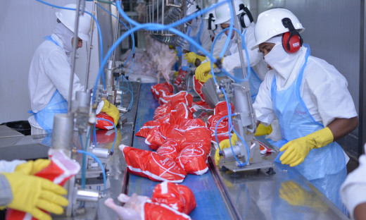 Indústria frigorífica Frango Americano emprega diretamente 1.500 pessoas em Aguiarnópolis
