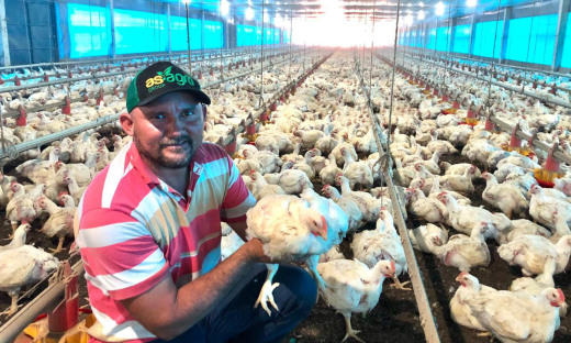 Avicultor Henrique Rodrigues de Souza viu na atividade uma nova alternativa de geração de renda