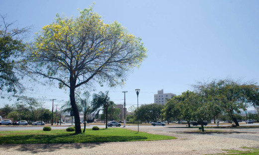 Calor deverá se acentuar nos próximos dias e umidade diminuir