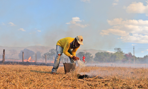 Agricultor apaga fogo no pasto usando um balde e jogando a água com as próprias mãos, em Taquarussu, zona rural de Palmas