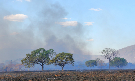 Por onde tem passado, o fogo tem deixado a marca da destruição nas propriedades rurais