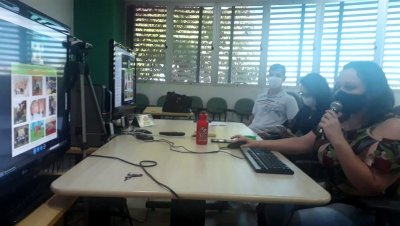 As webconferências levam informações novas e atualizadas para os técnicos nos municípios sobre as ações de vigilância e prevenção da raiva humana e animal. As webconferências levam informações novas e atualizadas para os técnicos nos municípios sobre as ações de vigilância e prevenção da raiva humana e animal.
