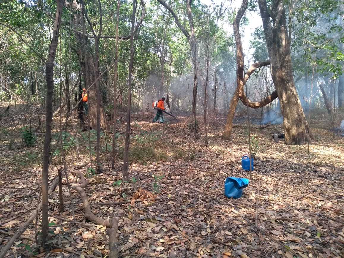 Na região do Cantão, a operação de combate aos incêndios florestais foi concluída na sexta-feira, 25