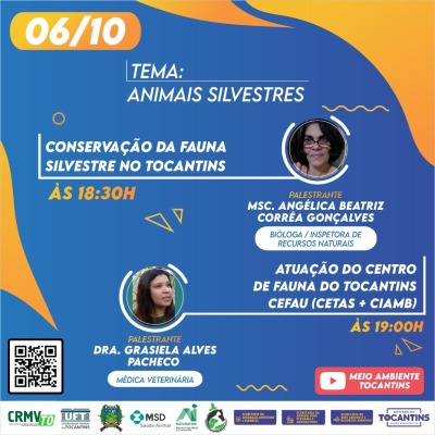 Programação - Dia 06/10
