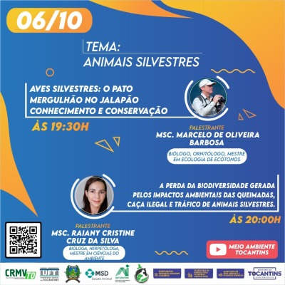 Programação - Dia 06/10