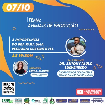 Programação - Dia 07/10