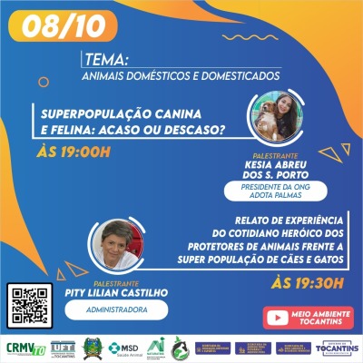 Programação - Dia 08/10