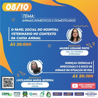 Programação - Dia 08/10