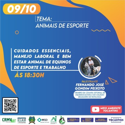 Programação - Dia 09/10