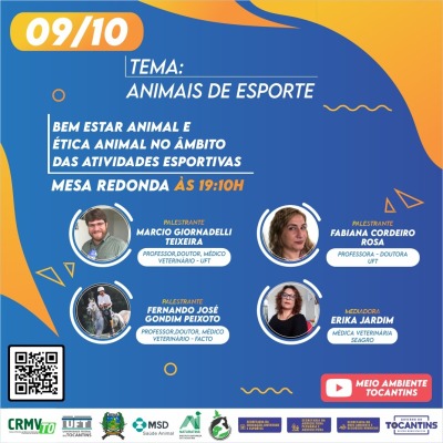 Programação - Dia 09/10