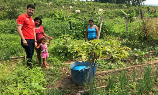 Agricultura familiar é desenvolvida por cerca de 42 mil famílias que contribuem com 40% do Valor Bruto da Produção Agropecuária