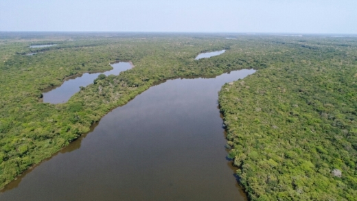 Governo do Tocantins, por meio da Semarh, investe em políticas públicas com foco na prevenção, educação ambiental e a redução dos índices de desmatamento no Cerrado