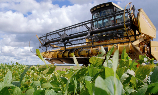 Conab estima que o Tocantins produza mais de 3,5 milhões/ton de soja na safra 2019/2020, o que representa 61% de toda a safra de grãos