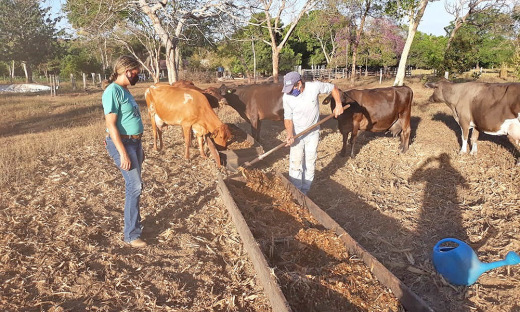 Produtor recebe assistência técnica do Ruraltins do projeto Balde Cheio 