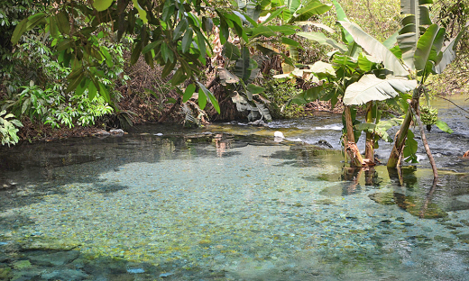 Azuis: redução de visitas diárias e ocupação de pousadas