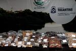 Todas as sementes coletadas são encaminhadas para a Universidade Federal do Tocantins (UFT), campus de Gurupi