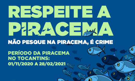 Campanha busca sensibilizar a população sobre a proibição da pesca no período de reprodução dos peixes na Piracema 2020/2021