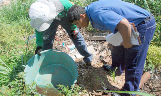 Semana Estadual de Combate ao Aedes será realizada no período de 30 de novembro a 4 de dezembro 