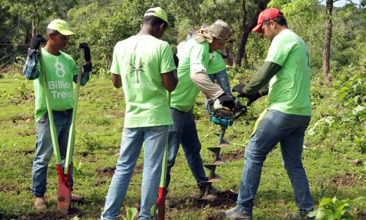 Taquaruçu Grande recebeu o plantio de 10 mil mudas em janeiro de 2020, antes da pandemia de Covid-19