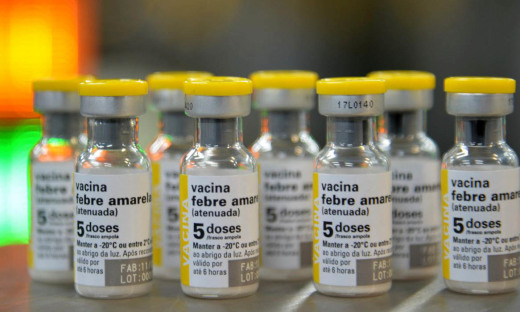  Vacina contra a febre amarela está disponível gratuitamente em postos de saúde e é considerada eficaz em quase 100% dos casos