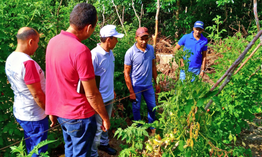 No Tocantins, são 655 extensionistas entre homens e mulheres, atuando nas áreas econômica, social e ambiental (Foto tirada antes da pandemia)