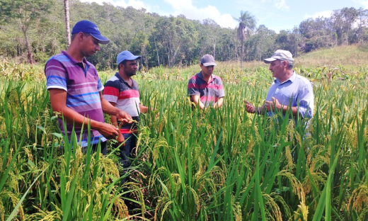 Governo do Tocantins, por meio do Ruraltins, está presente na vida dos produtores rurais (Foto tirada antes da pandemia)