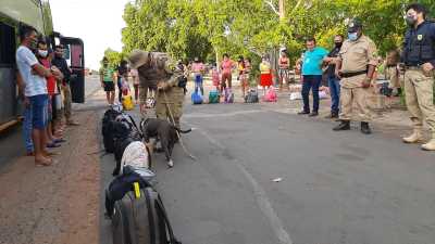 Fiscalização em transporte de passageiro com cães farejadores 