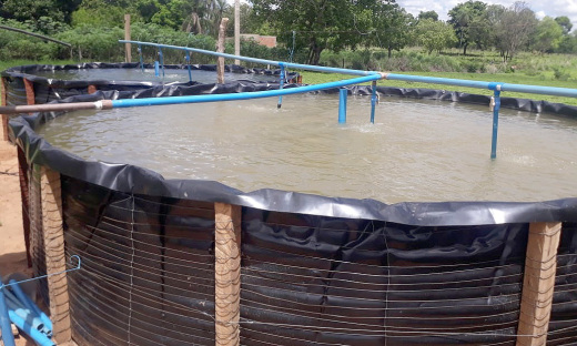 Na propriedade de José Leandro foram implantados três tanques com estimativa de produzir cerca 900 kg de peixes