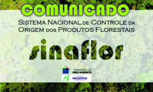 Naturatins vai analisar somente autorização de exploração florestal com registro no Sinaflor