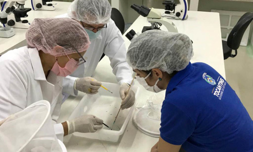 Visita técnica da Fapt ao Laboratório de Parasitologia da Escola de Medicina Veterinária e Zootecnia da UFT de Araguaína