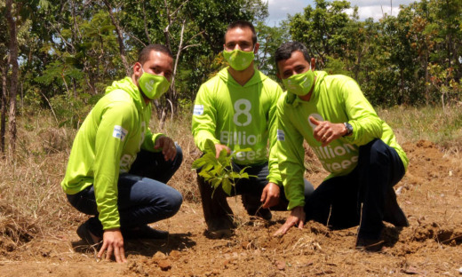 Semarh e ONG 8 BillionTrees  realizaram o plantio de 24 mil mudas de árvores