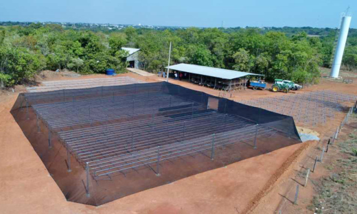 Viveiro com capacidade para 200 mil mudas nativas do Cerrado por ano 