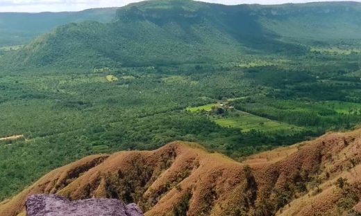 Conselho Deliberativo da Área de Proteção Ambiental (APA) Serra do Lajeado, prorroga o Edital de Chamamento da Sociedade Civil nº 01/2020