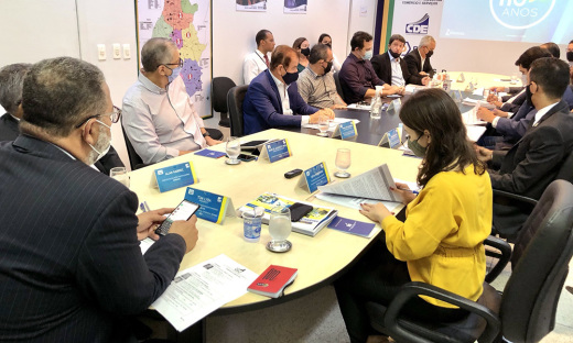 Conselheiros reunidos na 95ª Reunião do CDE-TO, onde o secretário Tom Lyra apresentou o balanço das atividades de 2020