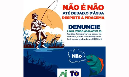 Cota zero para transporte do pescado no Tocantins se estende até 2022,