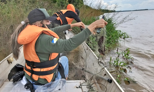 Os peixes que ainda estavam vivos foram devolvidos ao rio, e os que estavam mortos foram doados para comunidades carentes de Araguacema