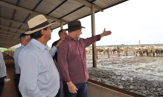 Governador Carlesse conhece maior projeto de confinamento do Tocantins, localizado no município de Marianópolis