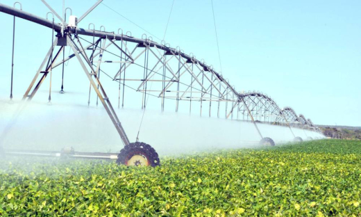 Decreto sobre andamento de projetos do Programa Tocantins PPI qualificou pré-projeto sobre Perímetros Agrícolas Irrigados