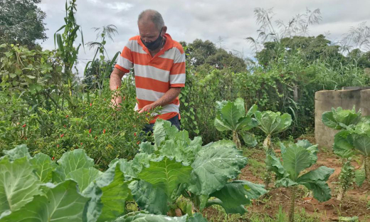 José Antonio de Barros Ferreira foi um dos primeiros a cultivar hortaliça no projeto