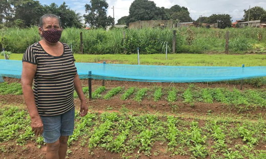 Maria Antonia Rodrigues Costa e o marido Valdeci Ferreira Costa também cultivam alguns canteiros na horta