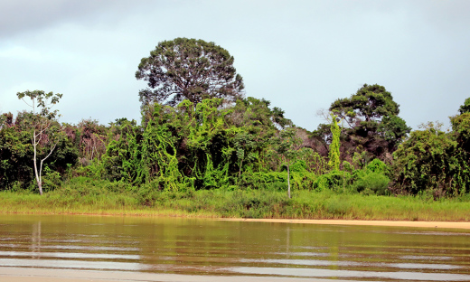  APA Ilha do Bananal/Cantão tem área de 1.678.000 hectares