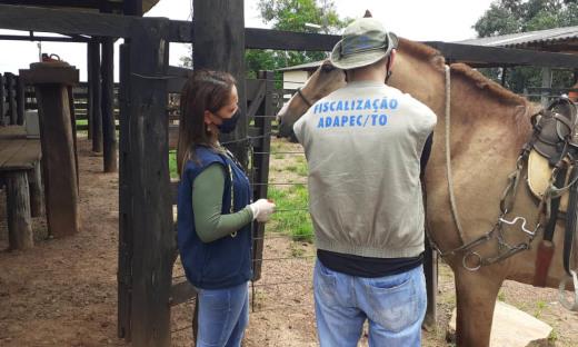 Adapec realiza colheita de amostras em animais no norte do Estado